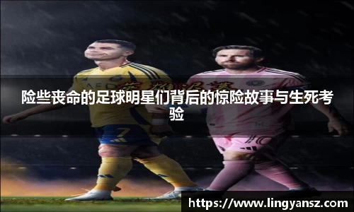 星空综合体育官网