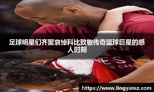 星空综合体育平台