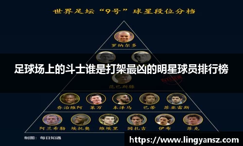 星空综合体育官网